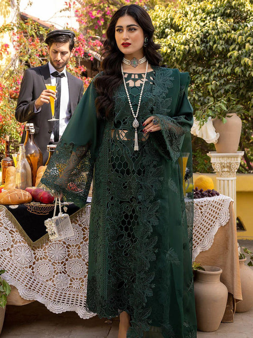 Bin Ilyas Luxury Lawn Collection